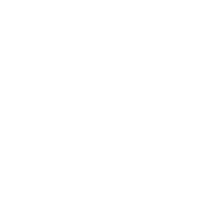 Logo EuroWheelz