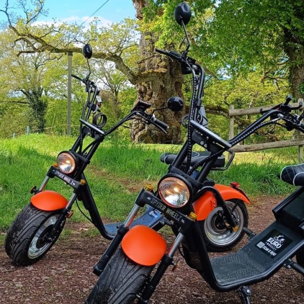 Scooters de Brocéliande au Chêne à Guillotin